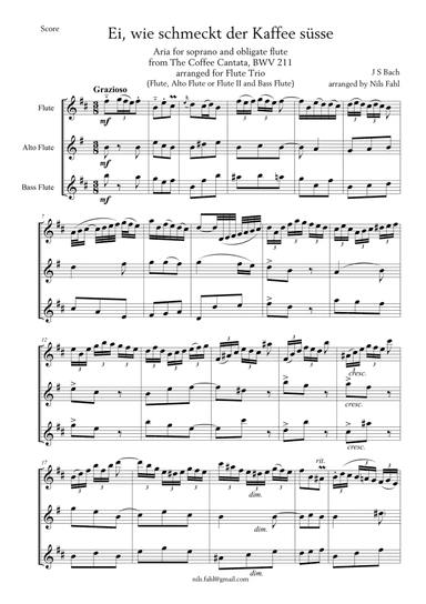 J S Bach Aria from the Coffee Cantata arranged for Flute Trio: Flute, Alto Flute or Flute II and Bas (arr. Nils Fahl)