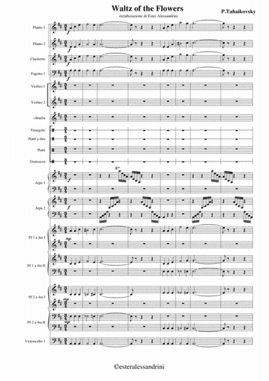 Waltz of the flowers (arr. Ester Alessandrini)