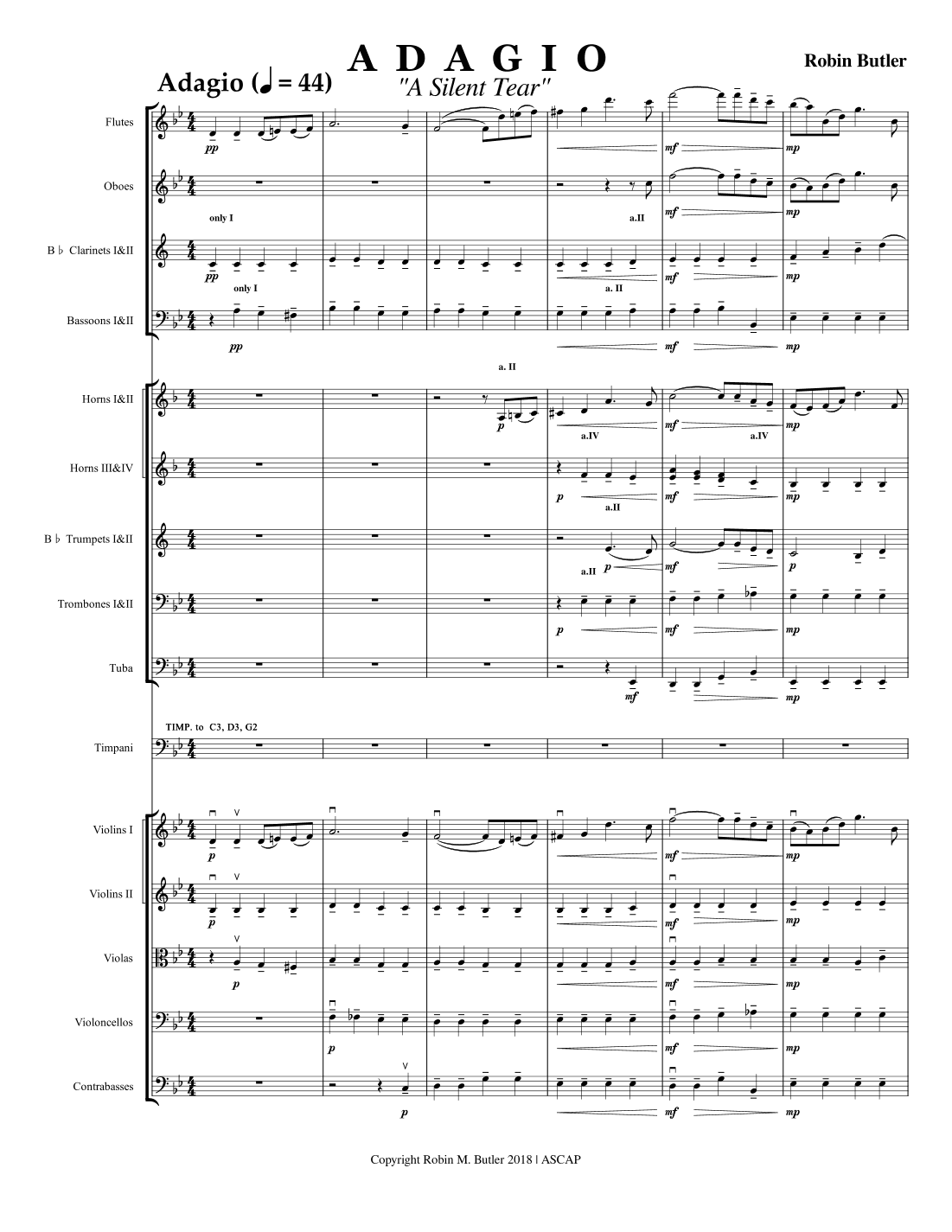 Adagio "A Silent Tear" for Intermediate Orchestra