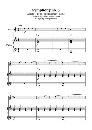 Symphony no. 5 - 1st movement (theme) (arr. Rodrigo Faleiros)