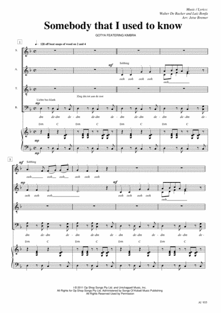 Somebody That I Used To Know (arr. Jetse Bremer)