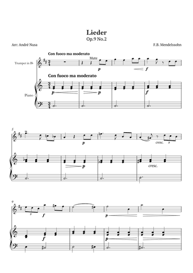 Lieder Op.9 No.2 (arr. André Nusa)