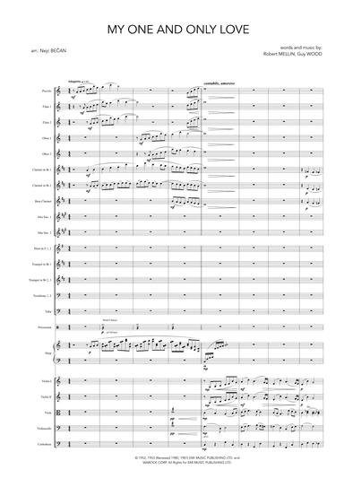 My One And Only Love (arr. Nejc Bečan)