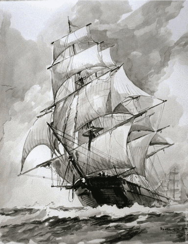 The Irish Rover (arr. Enea Acco)