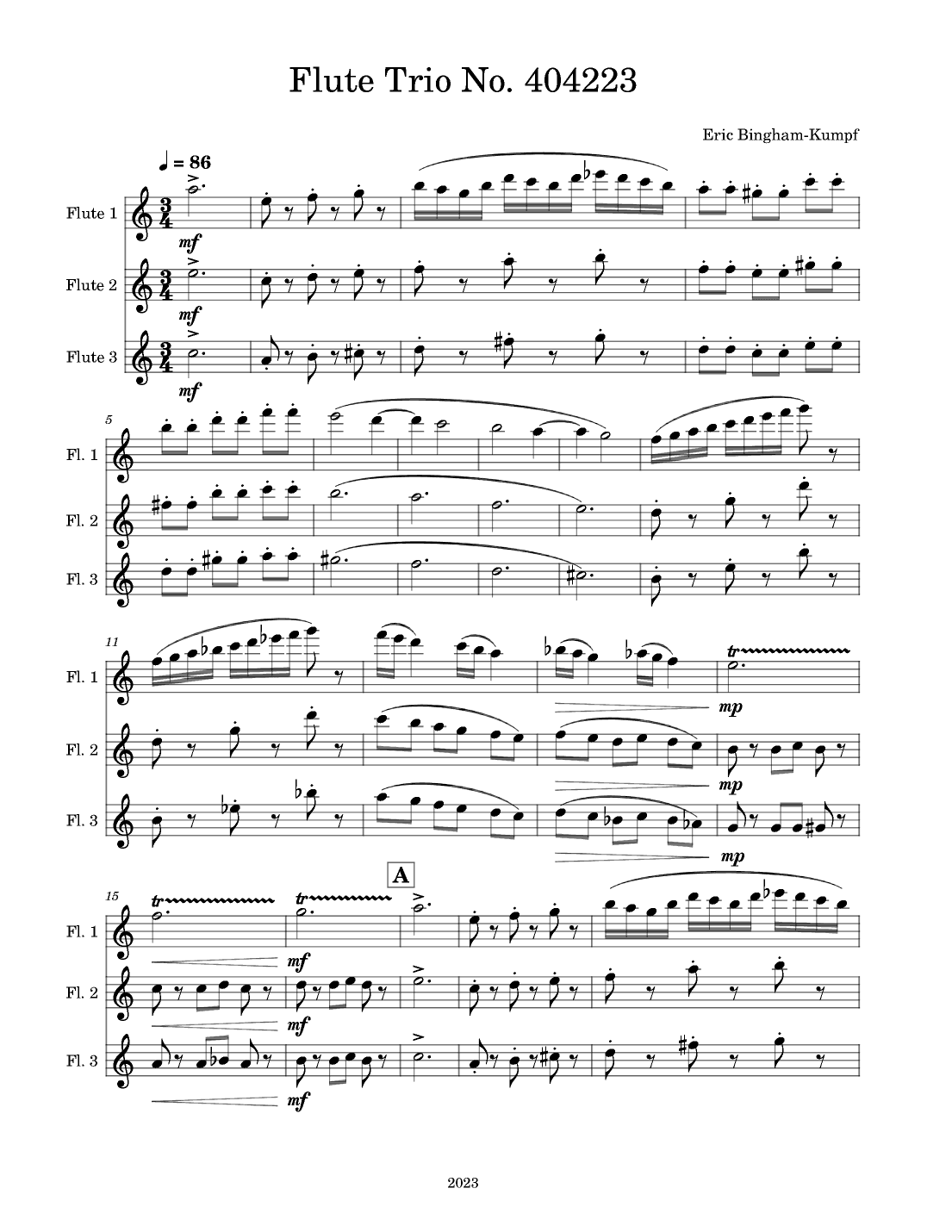 Flute Trio No. 404223