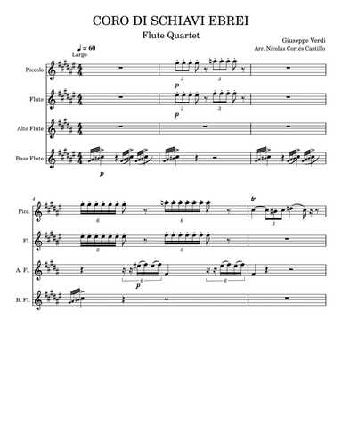 Giuseppe Verdi (1813-1901) - Va, Pensiero (Chorus of the Hebrew Slaves) from Nabucco, Arr. for Flute (arr. Nicolás Cortés Castillo)