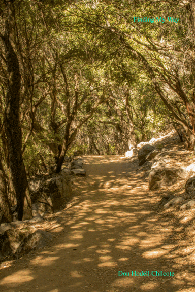 Finding My Way