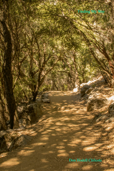 Finding My Way