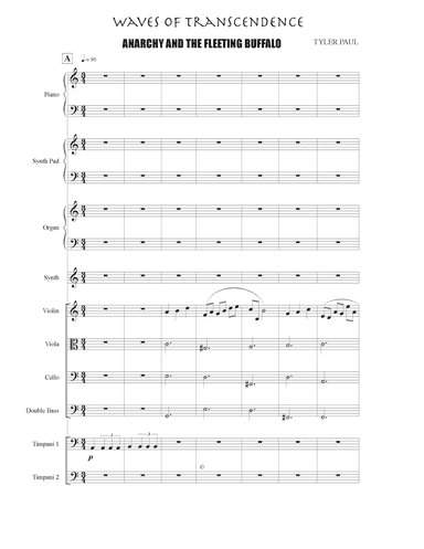 Waves of Transcendence: Anarchy and the Fleeting Buffalo
