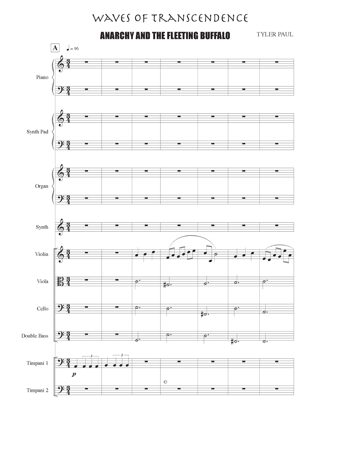 Waves of Transcendence: Anarchy and the Fleeting Buffalo