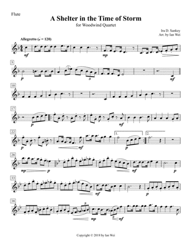 A Shelter in the Time of Storm for Woodwind Quartet (arr. Ian Wei)