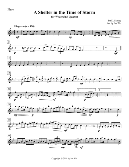 A Shelter in the Time of Storm for Woodwind Quartet (arr. Ian Wei)