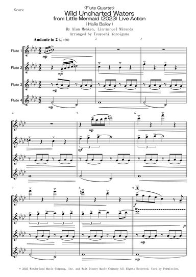 Wild Uncharted Waters (arr. Tsuyoshi Yoroiguma)