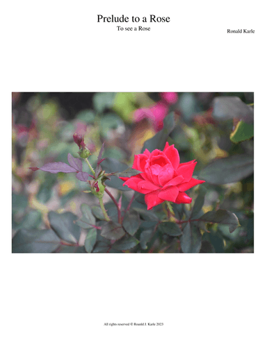 Prelude to a Rose
