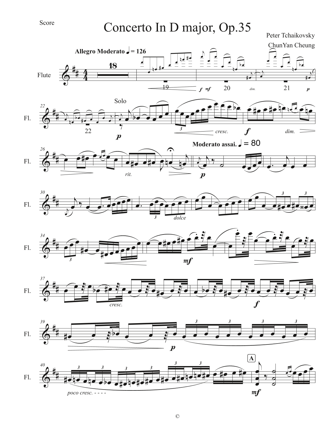 Concerto for Violin and Orchestra I - Allegro Moderato (arr. ChunYan Cheung)