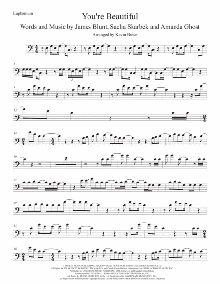 You're Beautiful (arr. Kevin Busse)