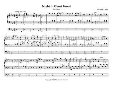 Night in Ghost Forest