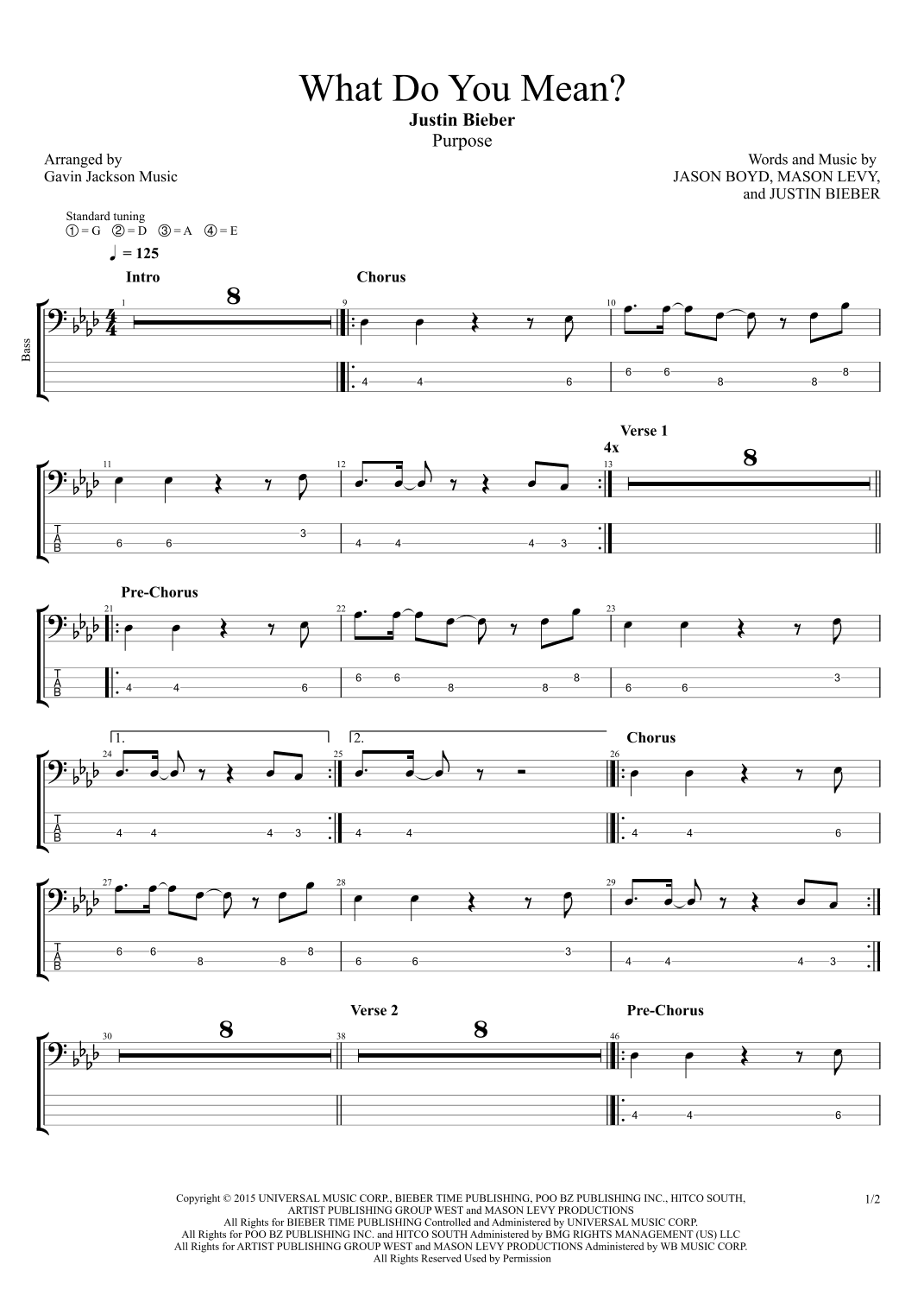 What Do You Mean? (arr. Gavin Jackson Music)