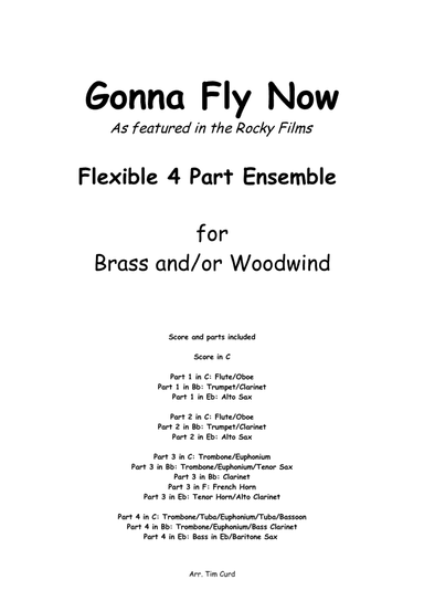 Gonna Fly Now (arr. Tim Curd)