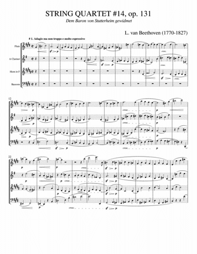 Beethoven's String Quartet 14, op. 131 (arr. A. Viazovtsev)