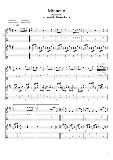 Boccherini - Minuetto - Guitar Duet (arr. Razvan Lazea)