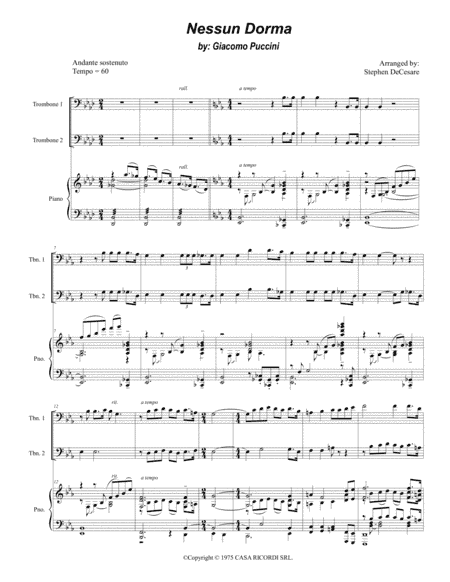 Nessun Dorma (arr. Stephen DeCesare)