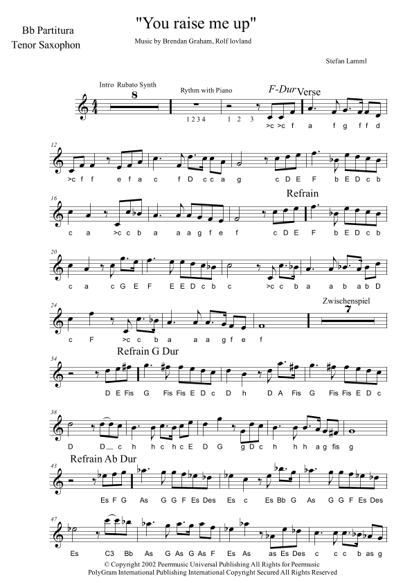 You Raise Me Up (arr. Stefan Lamml)