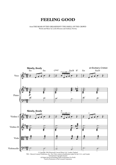 Feeling Good (arr. Budeanu Cristian)