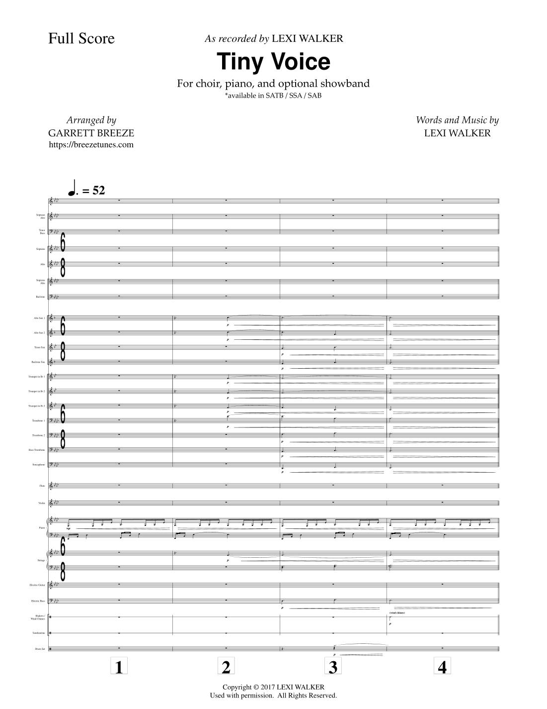 Tiny Voice (Instrumental Accompaniment Score & Parts)