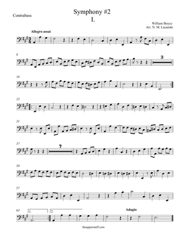 Symphony #2 First Movement (arr. Nick Lacanski)