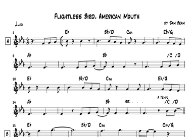 Flightless Bird, American Mouth (arr. Lef Germenlis)