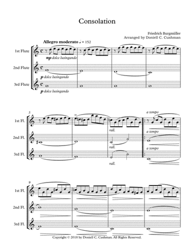Consolation - Flute Trio (arr. Doniell Cushman)