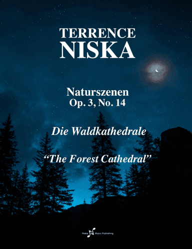Naturszenen Op. 3, No. 14 "Die Waldkathedrale"