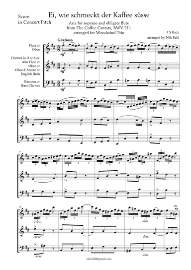 J S Bach Aria from the Coffee Cantata arranged for Woodwind Trio (arr. Nils Fahl)