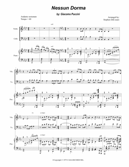Nessun Dorma (arr. Stephen DeCesare)