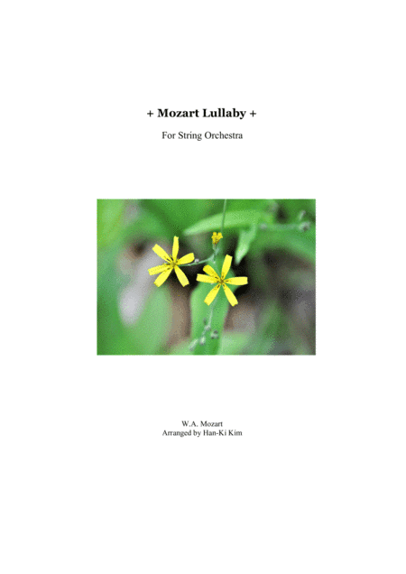Mozart Lullaby (For String Orchestra) (arr. Han-Ki Kim)