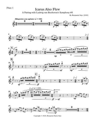 Icarus Also Flew: A Pairing with Beethoven's Symphony #5 - Flute 1
