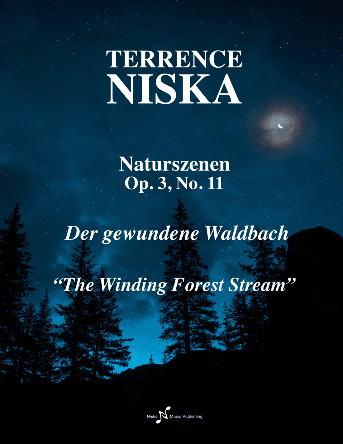 Naturszenen Op. 3, No. 11 "Der gewundene Waldbach"