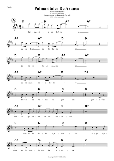Palmaritales De Arauca (arr. Bernardo Bernal Hidalgo)