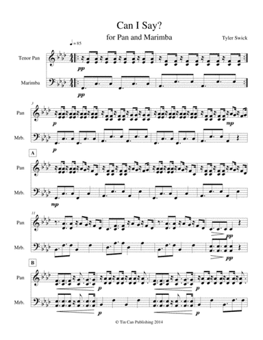 Can I Say? for Steel Drum and Marimba