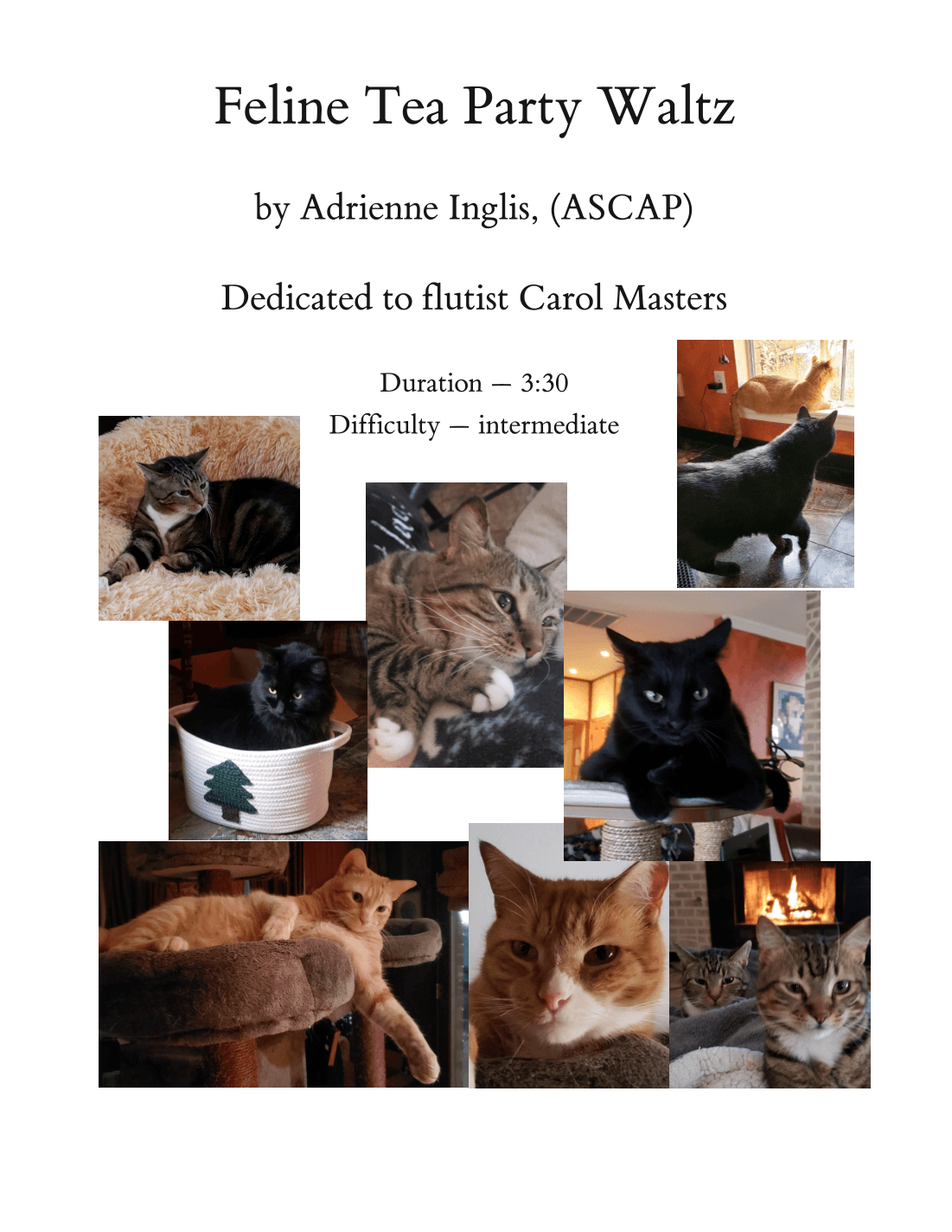 Feline Tea Party Waltz