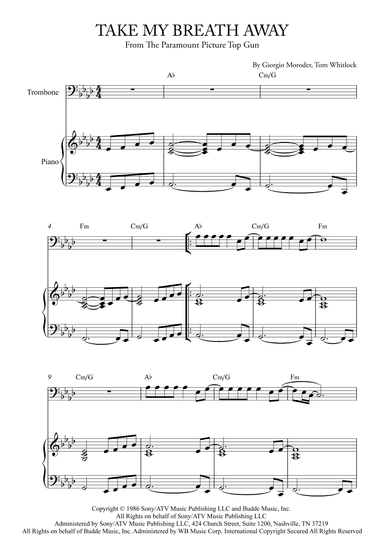 Take My Breath Away (love Theme) (arr. Karen Gueiros)