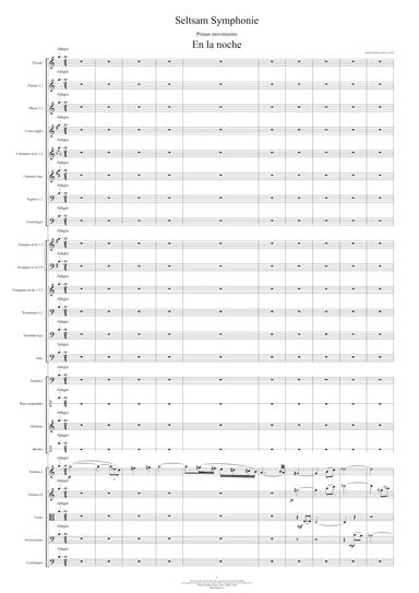 Seltsam Symphonie - Score Only