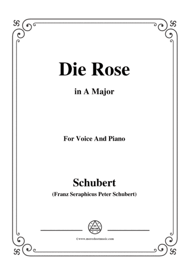 Schubert-Die Rose,in A Major,Op.73,for Voice and Piano (arr. MSM)