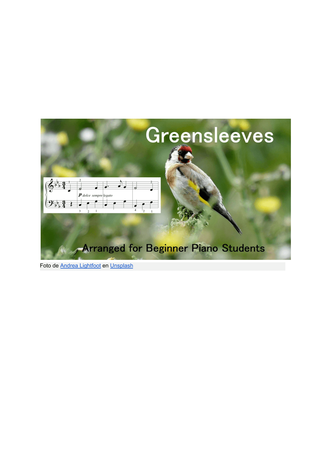 Greensleeves (arr. Enrique Finot Gainsborg)
