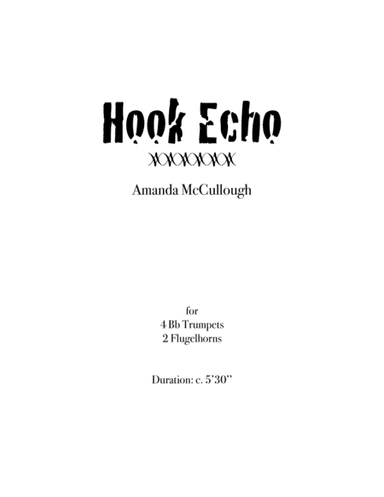 Hook Echo