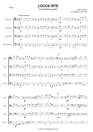 Locus Iste (arr. Sjoerd van der Veen)