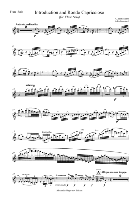 Introduction and Rondo Capriccioso, for Flute Solo (arr. Alexander Gagarinov)