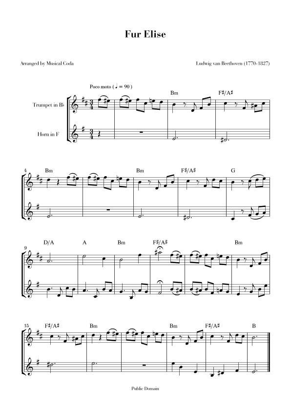 Fur Elise - Trumpet & Horn (arr. Musical Coda)