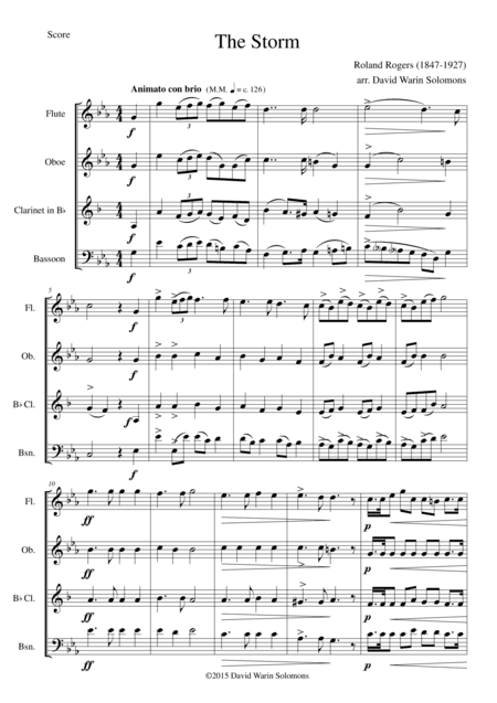 The Storm arranged for woodwind quartet (arr. David Warin Solomons)